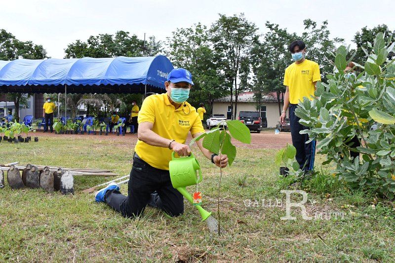 20210526-Tree planting dayt-070.JPG